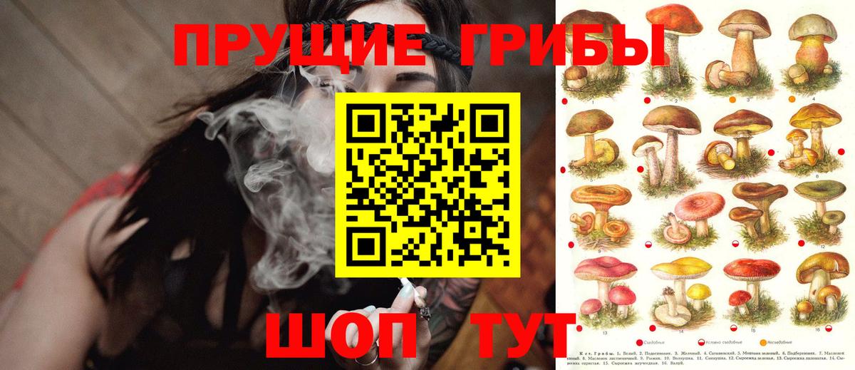 Псилоцибиновые грибы ЛСД Смоленск